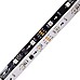 12V 5050 SMD LED Dreamcolor LED Strip Lights With 1903 IC