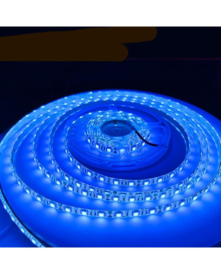 12V 5050 SMD Ice Blue Waterproof LED Strip