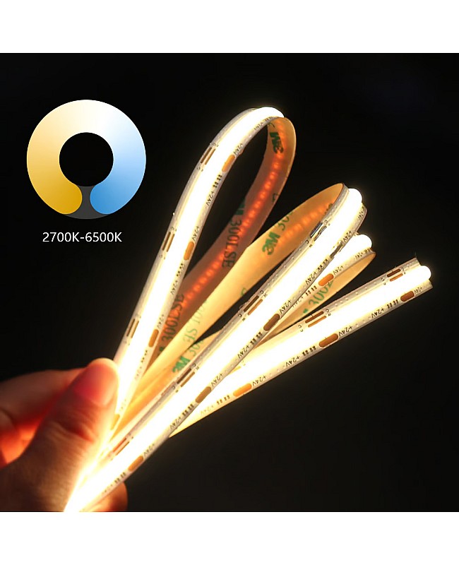 COB CCT LED Strip