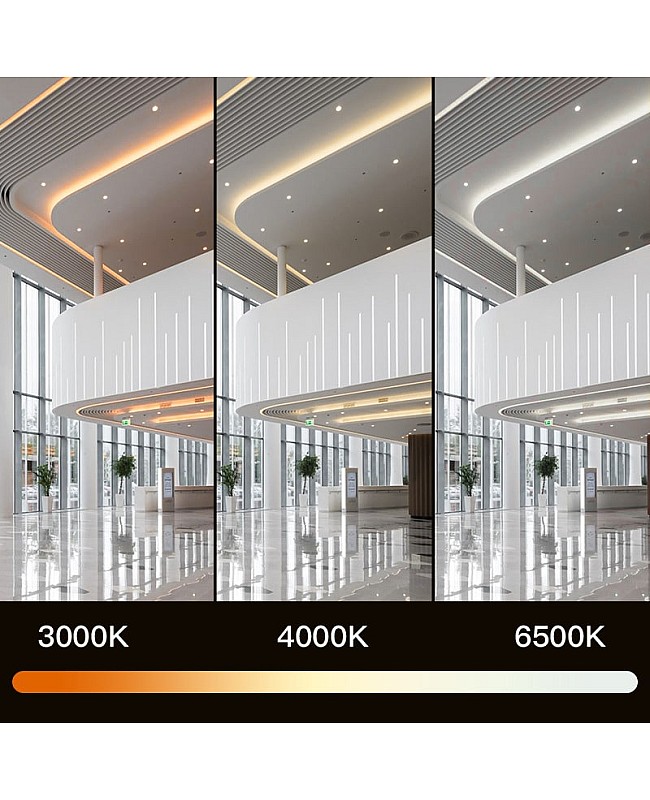 15mm Wide COB LED Tapes