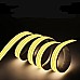 Ceiling Illumination LED Strips