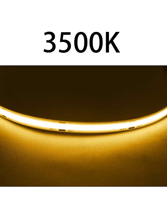 24V COB Strip Lights