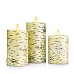 led candle light with remote control