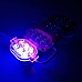 12 Volt LED Module