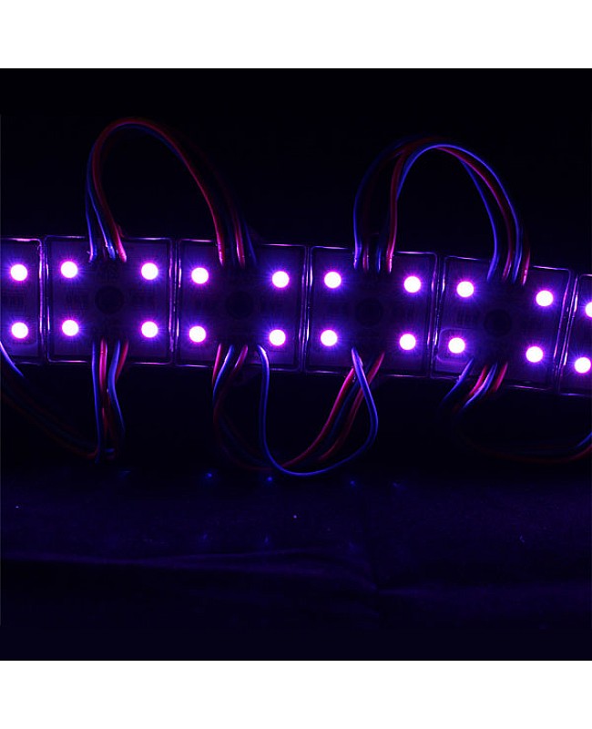 Purple 5050 LED Module