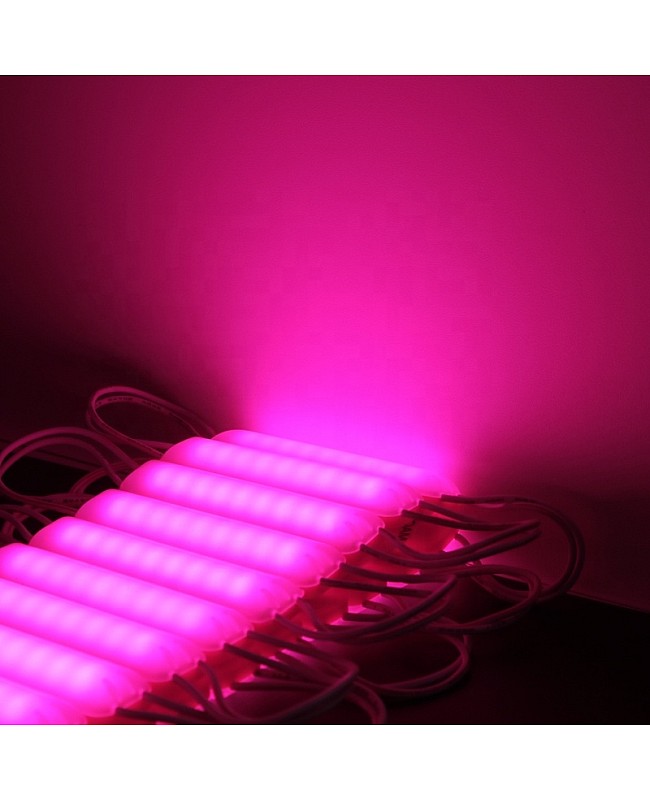 Pink Light Module