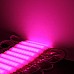 Pink Light Module