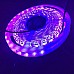 3528 LED Strips