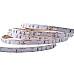 red 3528 led strip