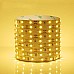 Warm White Tape Light
