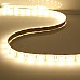 Purple 5050 LED Strips