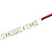White LED Strips