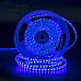 UV Black Light Strip
