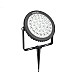 rgbww walkway lights