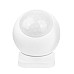 RF Motion Detector