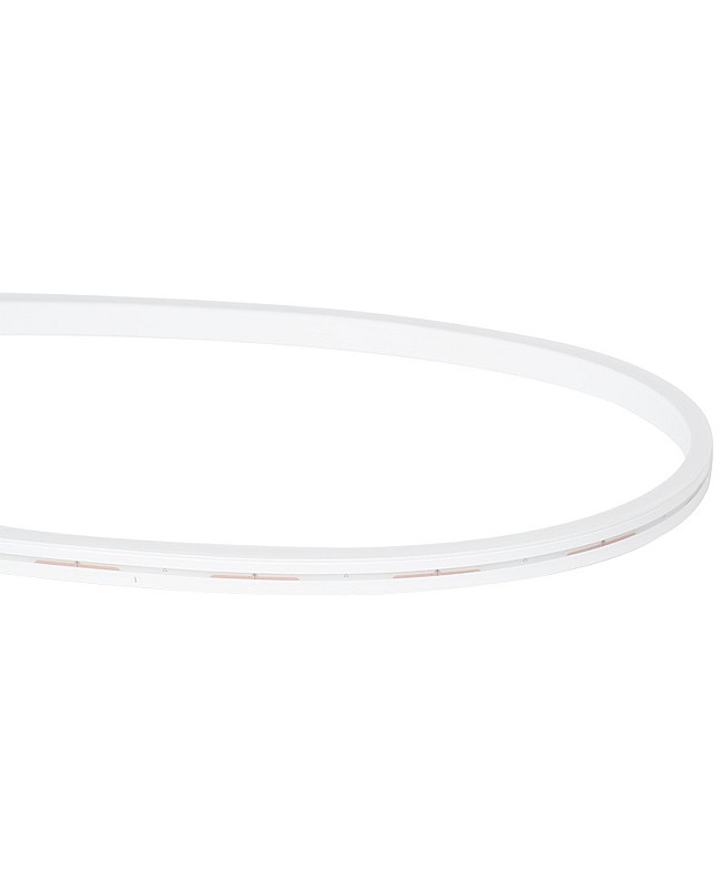 Flex Neon LED Strip Lights