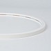Neon Strip LED Light