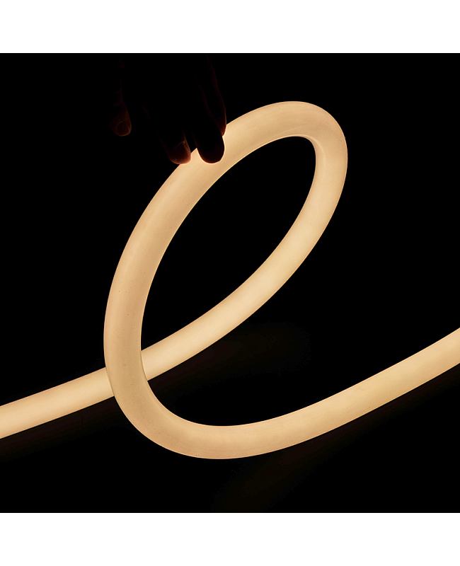 LED Silicone Neon Strips