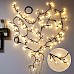 outdoor christmas lights led