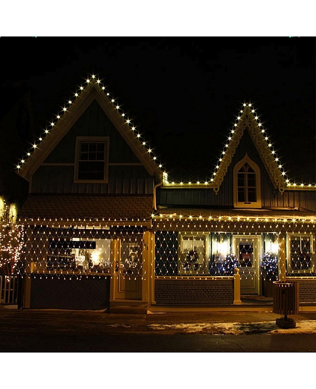 AC220V LED Christmas Light