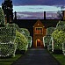 led christmas light nets