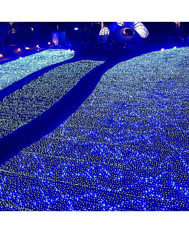white led net christmas lights