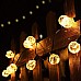 led plastic bulb string lights