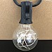 LED Bulb String Lighting
