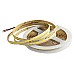 FCOB 12V Strip Lights