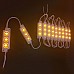 LED Lighting Module