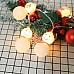 battery operated led christmas lights outdoor
