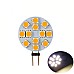 Auto LED Light Bulbs