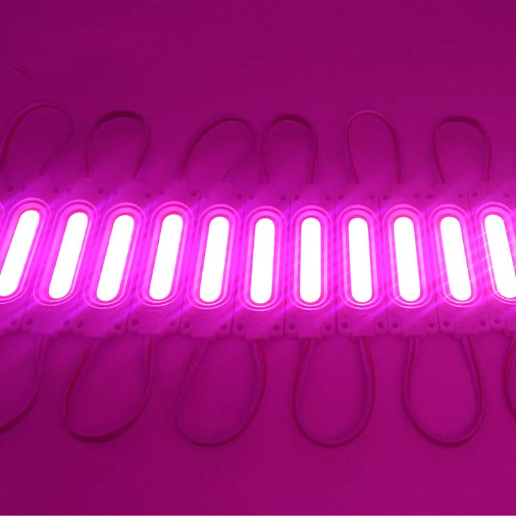 Pink COB LED Module