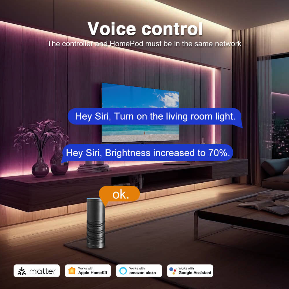 Voice control the lighting via the Matter WiFi LED controller