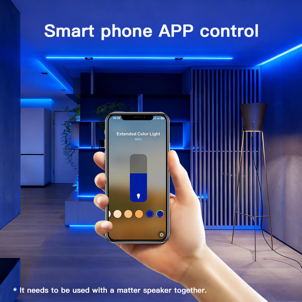 Phone App control the lighting