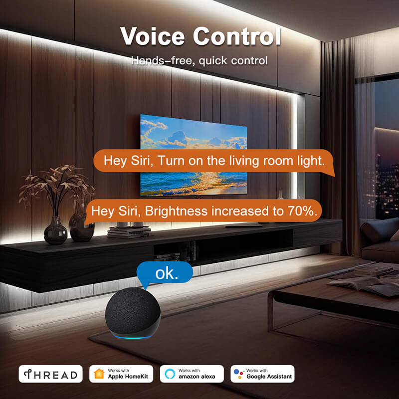 Voice control the LED lights through Matter smart home controllers