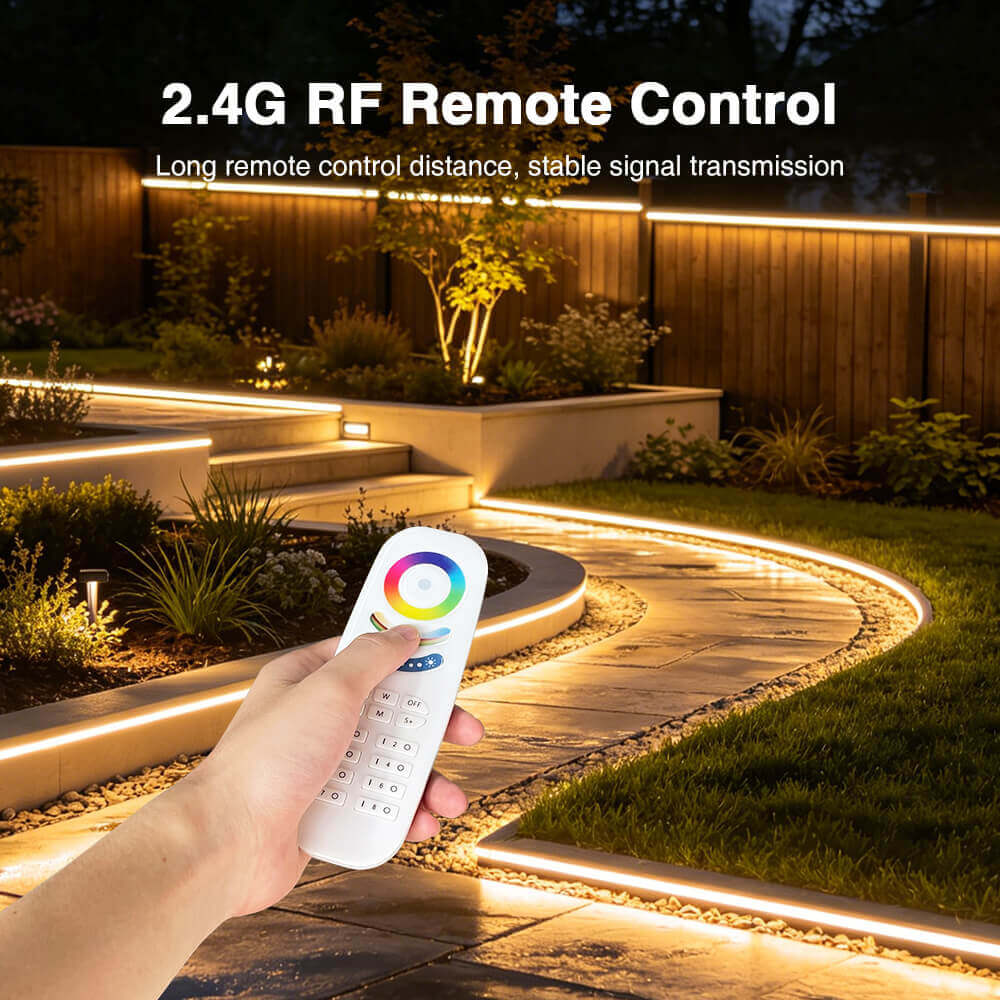 2.4G remote control