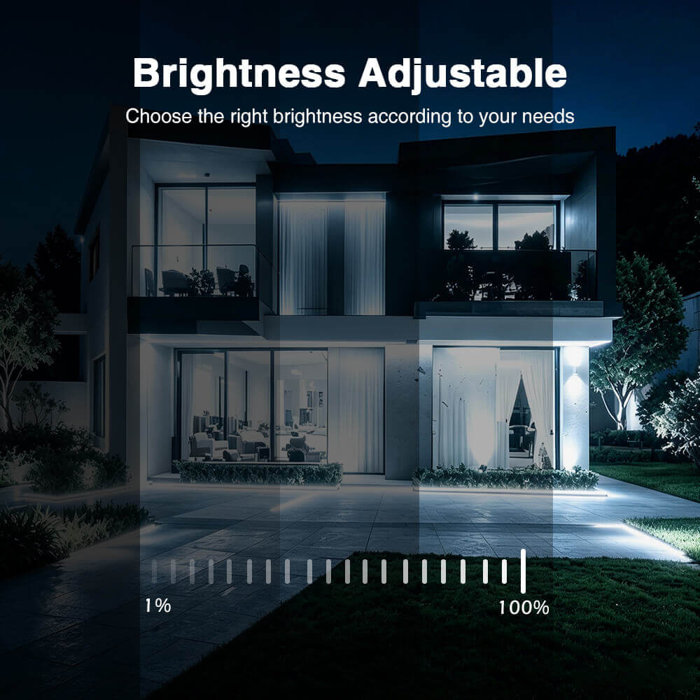 Brightness adjsutable