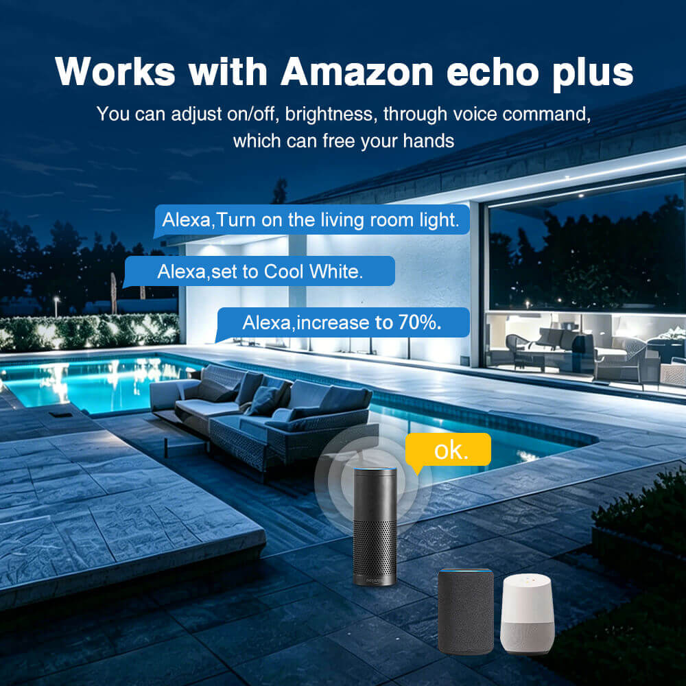 Work with Amazon Echo Plus